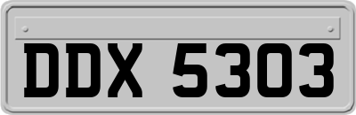 DDX5303
