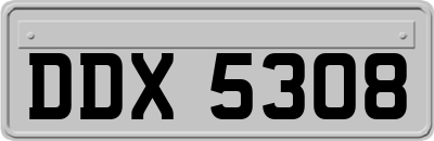 DDX5308