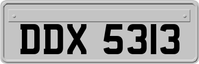DDX5313