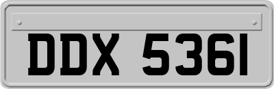DDX5361