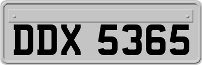 DDX5365