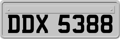 DDX5388