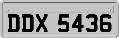 DDX5436