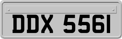DDX5561