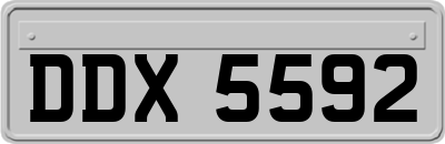 DDX5592