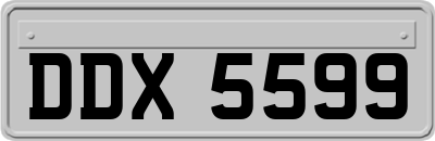 DDX5599