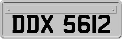DDX5612