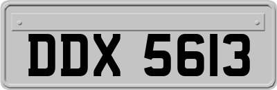 DDX5613