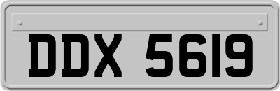 DDX5619