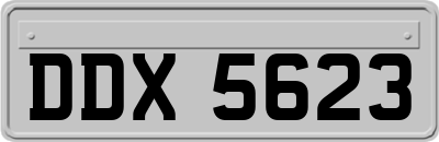 DDX5623