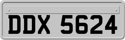 DDX5624