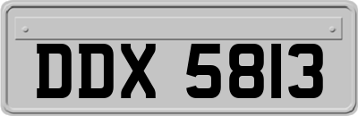 DDX5813