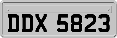 DDX5823