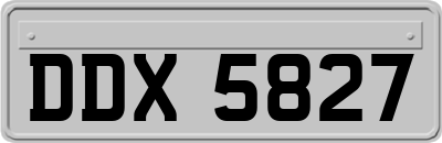 DDX5827
