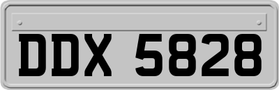 DDX5828