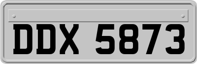 DDX5873