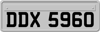 DDX5960