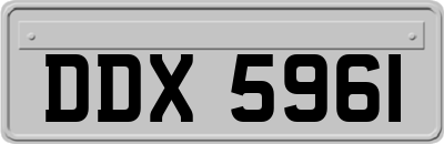 DDX5961