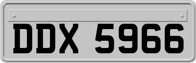 DDX5966