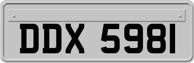 DDX5981