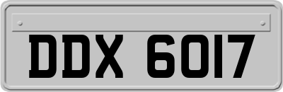 DDX6017