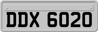 DDX6020
