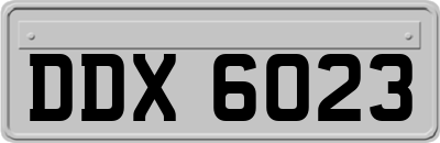 DDX6023