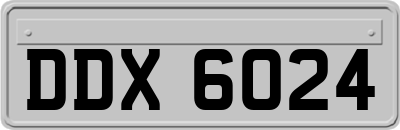 DDX6024