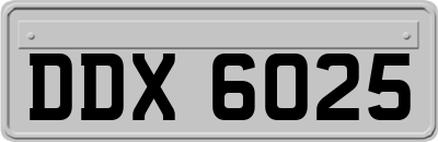 DDX6025