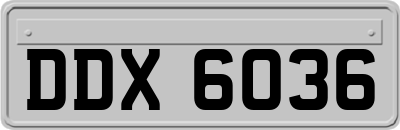 DDX6036