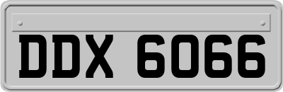 DDX6066
