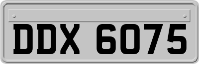 DDX6075