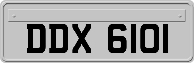 DDX6101