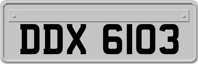 DDX6103