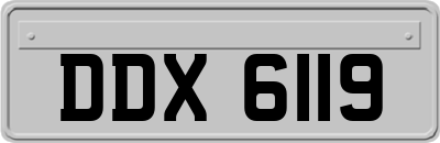 DDX6119