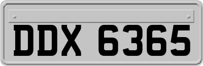 DDX6365
