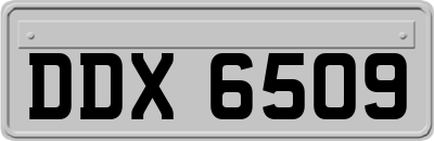 DDX6509