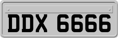 DDX6666