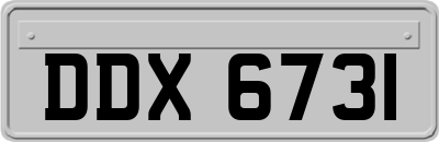 DDX6731