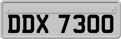 DDX7300