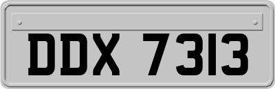 DDX7313