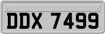 DDX7499