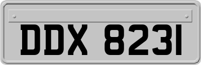 DDX8231