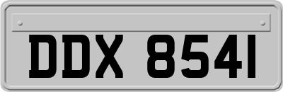 DDX8541