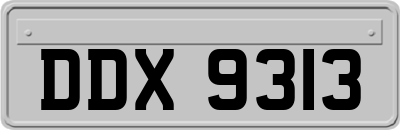DDX9313