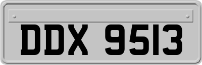 DDX9513