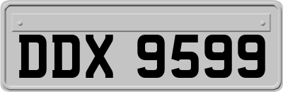 DDX9599