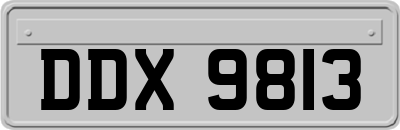 DDX9813