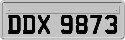 DDX9873