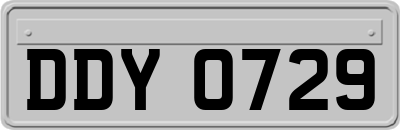 DDY0729